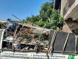 Best Moving and Downsizing Cleanouts  in Orfordville, WI